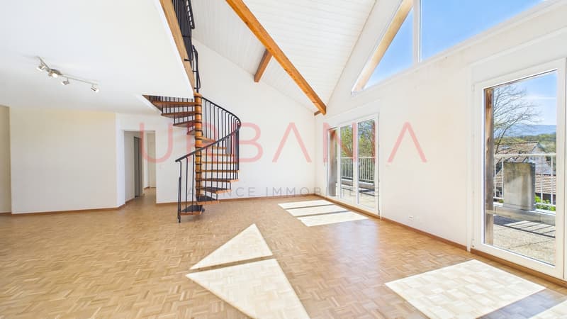 Magnifique appartement de 191m² avec terrasse et mezzanine (4)