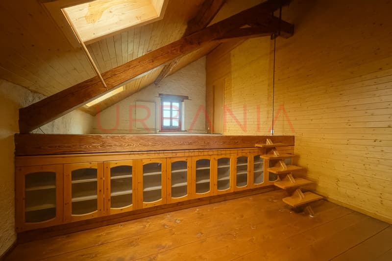 Triplex de charme au coeur d'une bâtisse historique du XVIIe siècle (4)