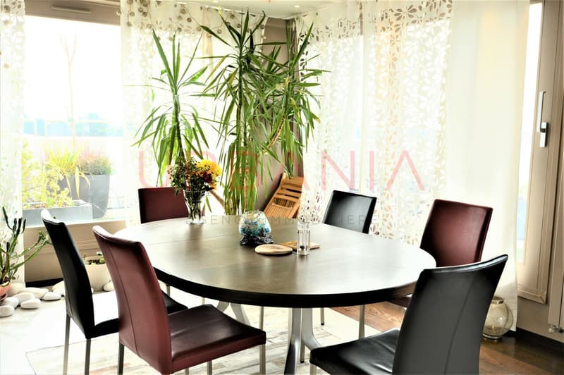Attique en Duplex avec vue panoramique (4)