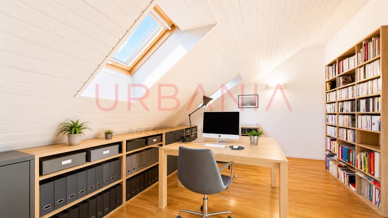 Magnifique maison dans le Vieux Carouge (8)