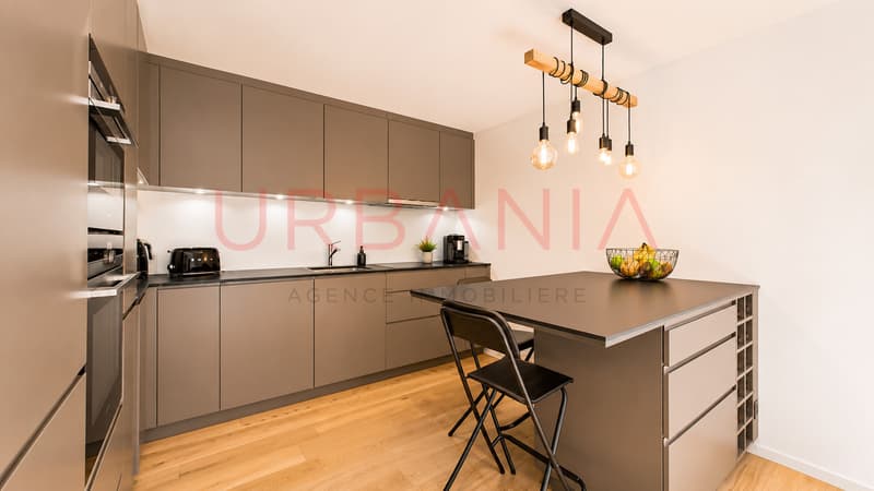 Magnifique maison dans le Vieux Carouge (3)