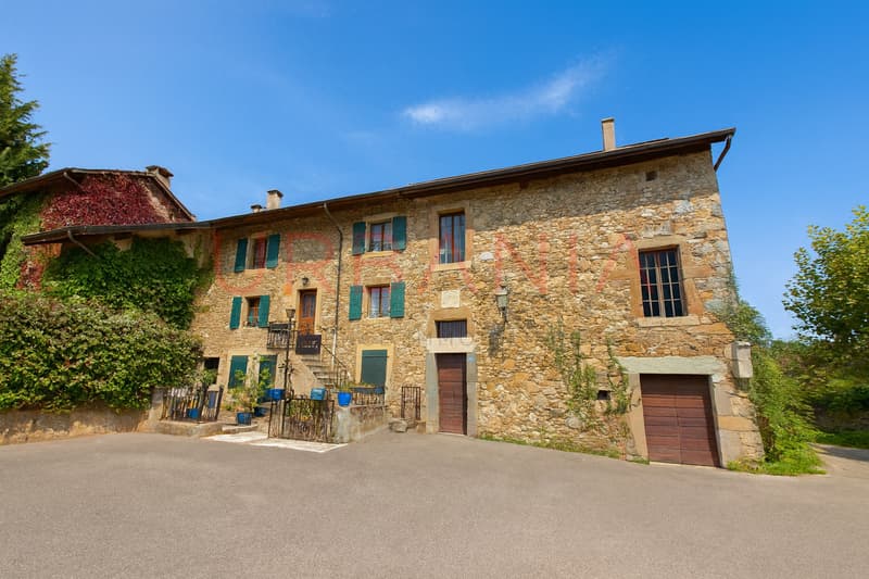 Triplex de charme au coeur d'une bâtisse historique du XVIIe siècle (3)
