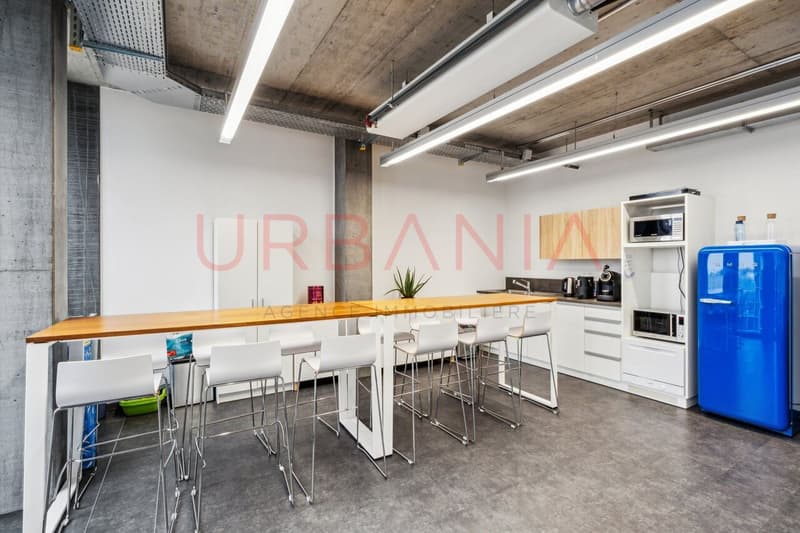 PONT-ROUGE- BEAUX BUREAUX AMENAGES DE 230 M2 (6)