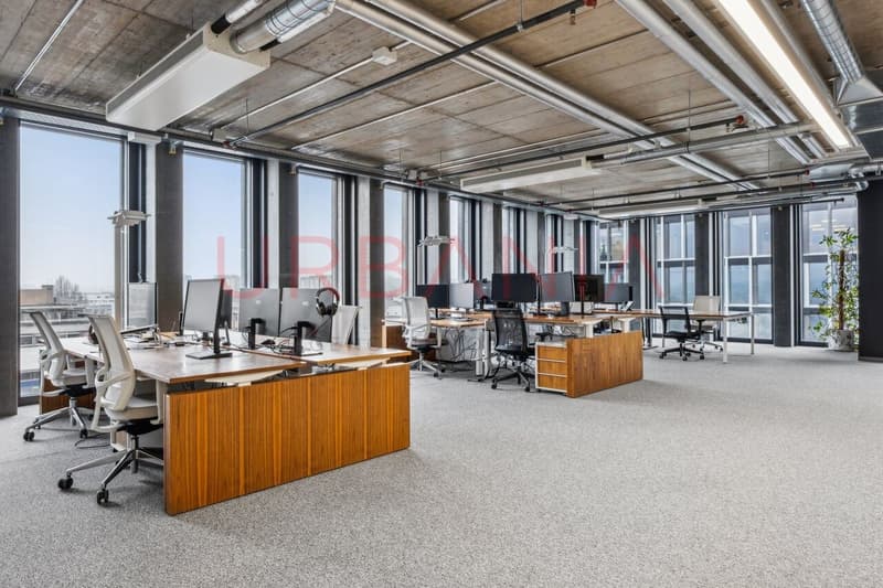 OPPORTUNITE UNIQUE-BUREAUX DE 477 M2 A PONT-ROUGE (4)