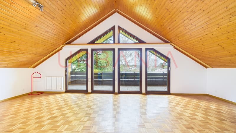 Magnifique maison individuelle à Genthod avec jardin et deux box (5)