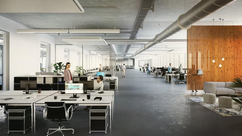 Commercial property in Biberist (4)