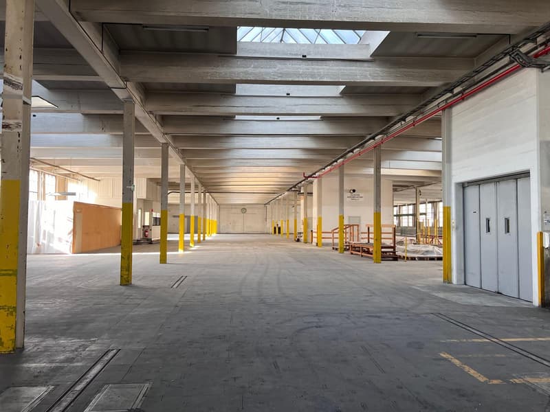 Commercial property in Biberist (2)
