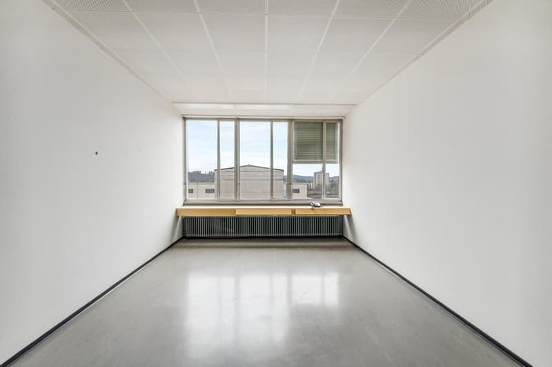 Commercial property in Biberist (2)