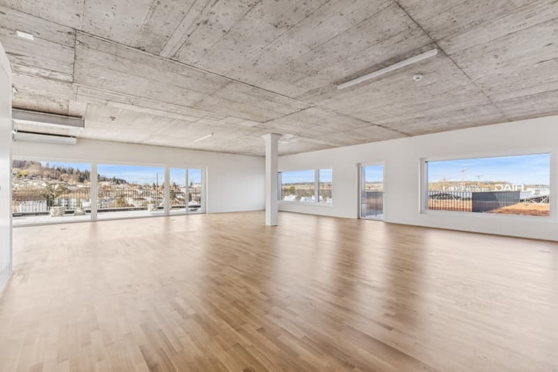 Espace de bureau attractif avec terrasse sur le toit privée (5)