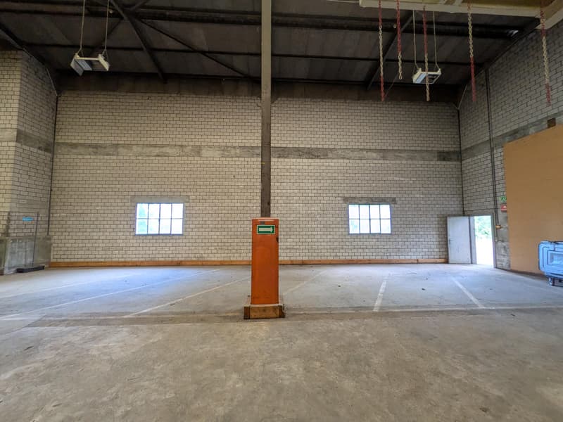 Magazzino in affitto (2)