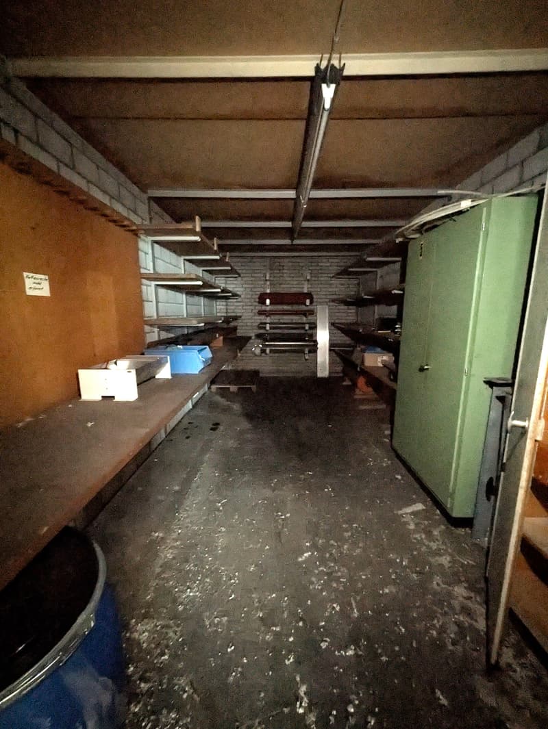 Magazzino in affitto (4)