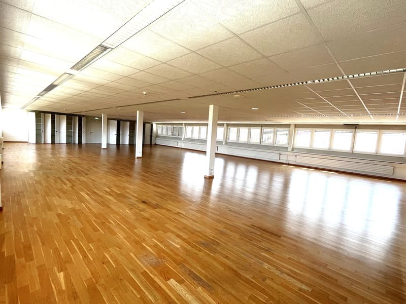 Espace Bureau Ouvert à Louer Immédiatement (4)