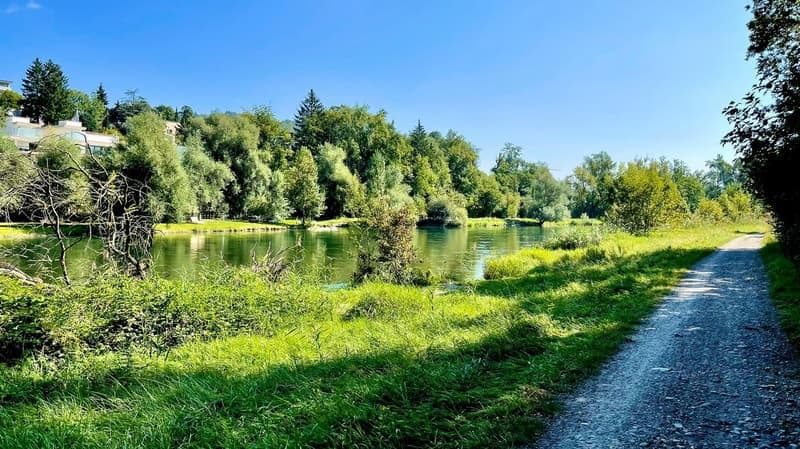 Espace de bureau spacieux à louer à Dietikon (7)