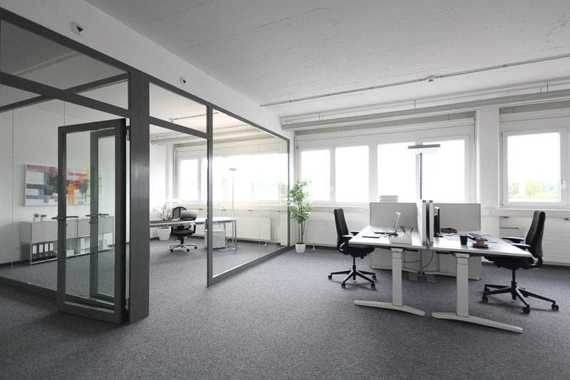 Espace commercial à Birsfelden (4)
