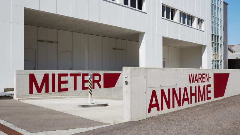 Espace commercial à Birsfelden (9)