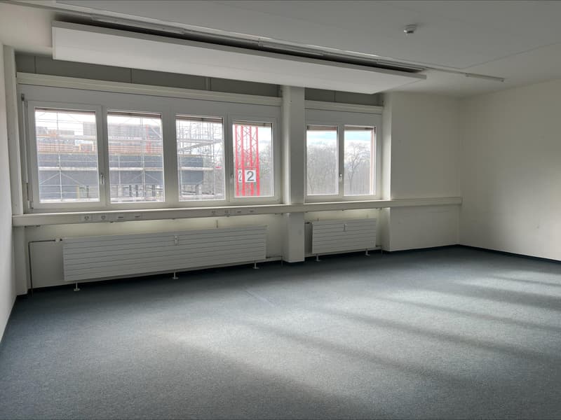 Espace commercial à Birsfelden (3)