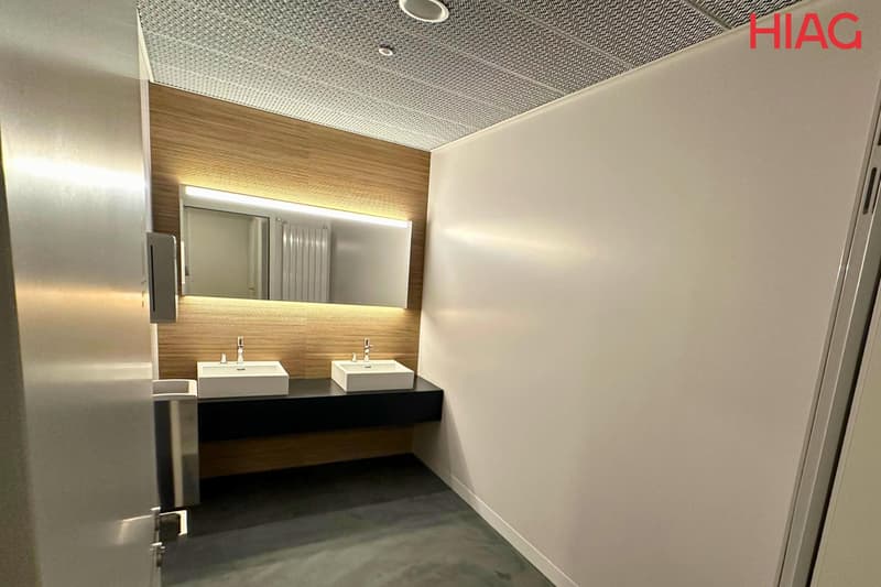 Offices from 200 m² in Meyrin (6)