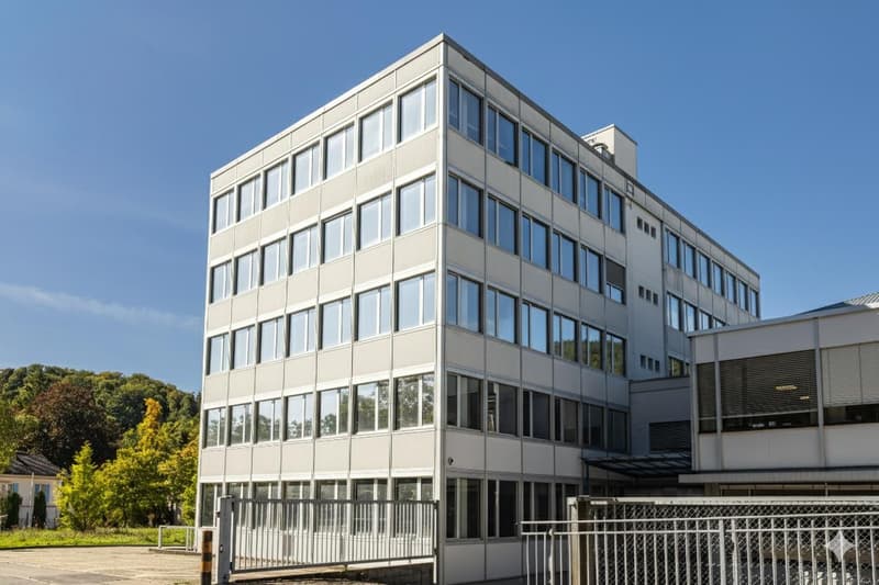 Commercio a Neuchâtel (7)