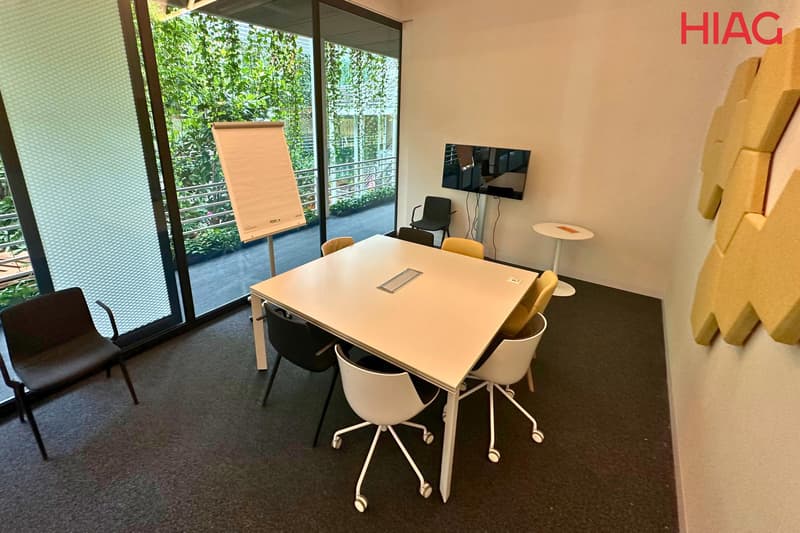 Plug & Play Offices 700 m² - Meyrin (9)