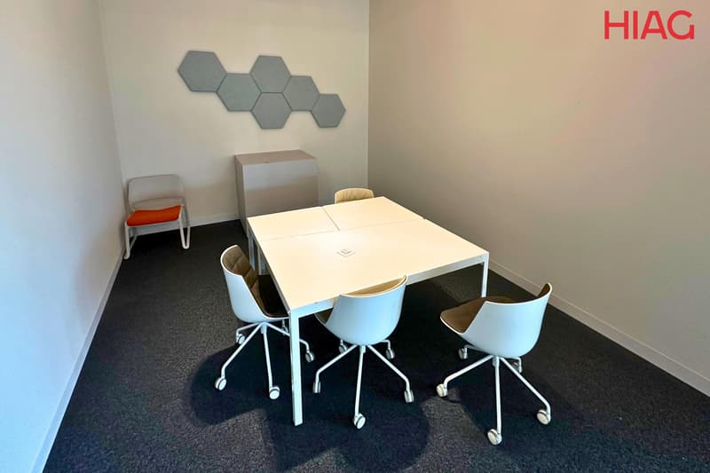 Plug & Play Offices 700 m² - Meyrin (10)