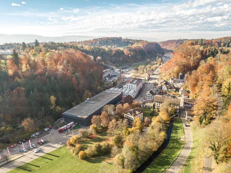Propriété commerciale à Aathal-Seegräben (8)