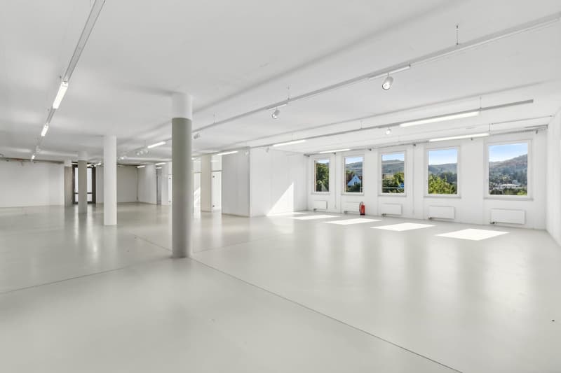 Spazi ufficiali luminosi con ampio open space (5)