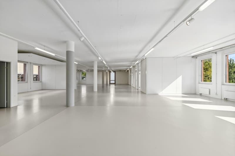 Spazi ufficiali luminosi con ampio open space (4)