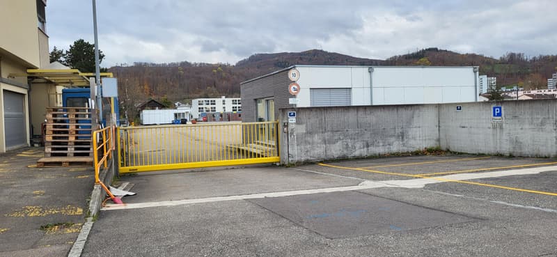 Cerca un magazzino esterno temporaneo? (3)