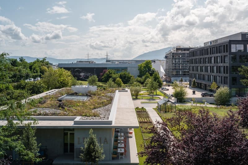Light industrial spaces from 200m² in Meyrin (8)