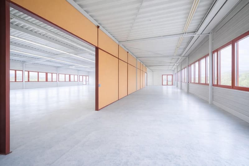Spacious commercial space in Buchs AG (2)