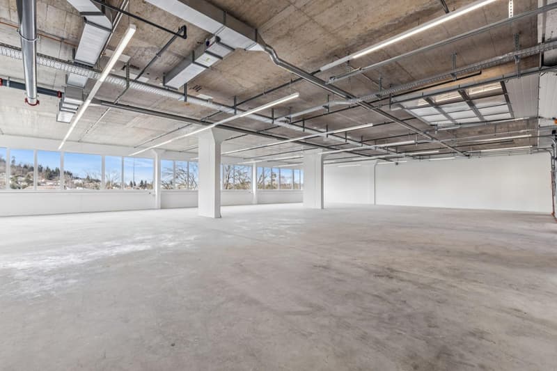 Espace commercial à Winterthur (3)