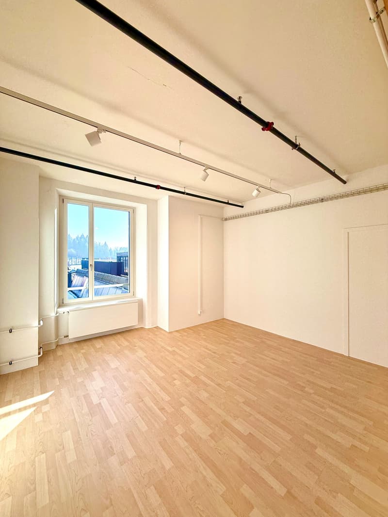 Attraktive Bürofläche zu vermieten (5)
