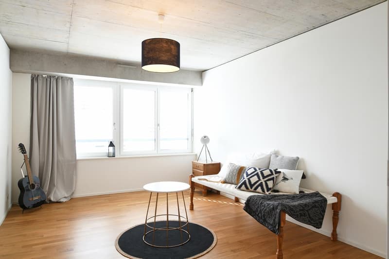 Beautiful apartment with seating area! (4)