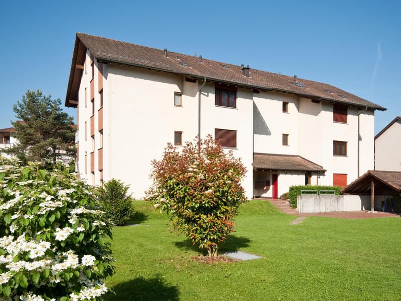 Renovierte 3.5-Zimmerwohnung im Idyllischen Niederwil (1)
