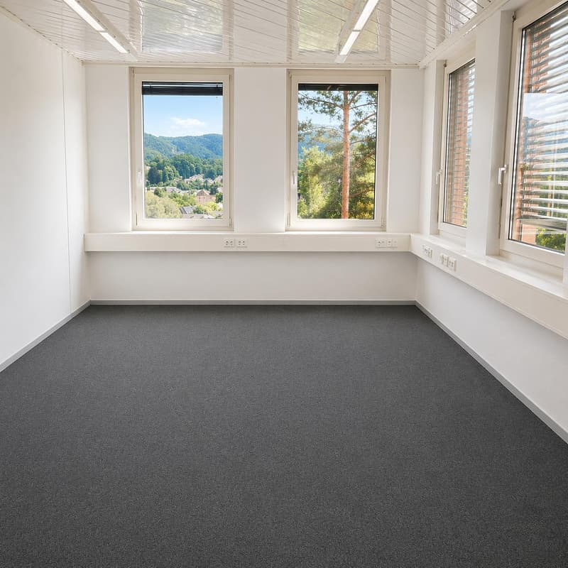 Grosszügige Bürofläche im 2. OG an zentraler Lage in Reinach (BL) (2)