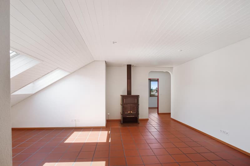 Vivere sopra i tetti di Niederwil (4)