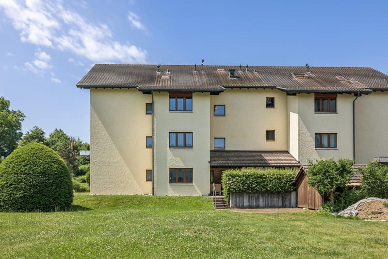 Vivere sopra i tetti di Niederwil (9)