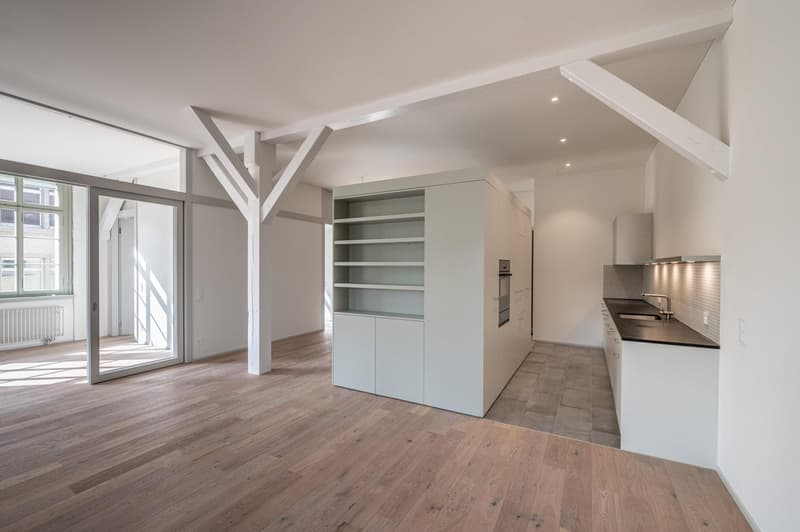 Appartement loft avec caractère directement sur la zone de loisirs (2)