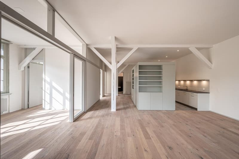 Appartement loft avec caractère directement sur la zone de loisirs (3)