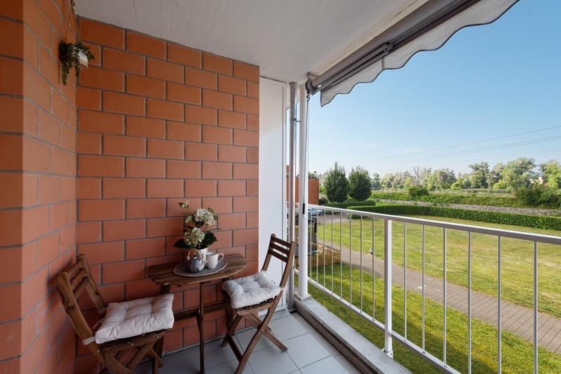 3.5-room apartment in the immediate vicinity of the Aare (5)