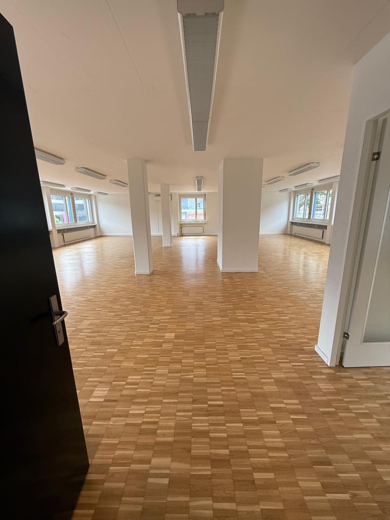 Spacious office space for rent in Dietikon (6)