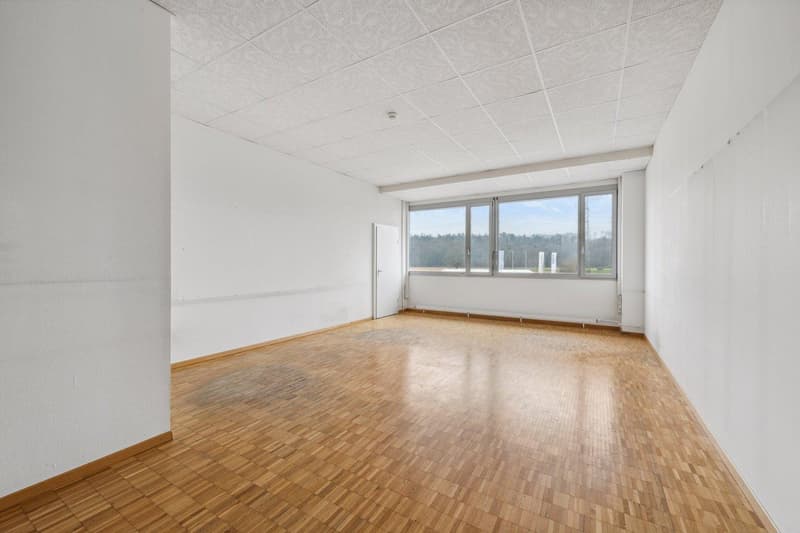 Attractive office spaces 20-494m² with a view for rent (2)