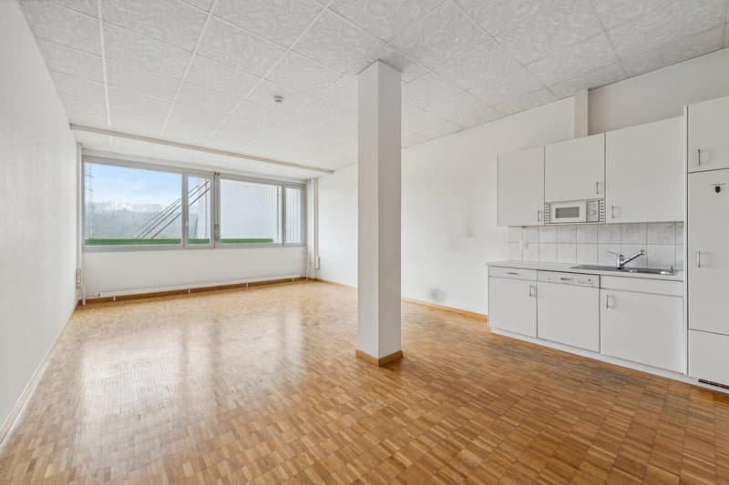 Attractive office spaces 20-494m² with a view for rent (3)