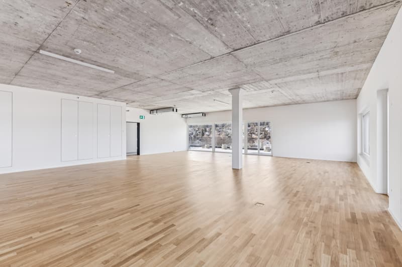 Attractive office space with private rooftop terrace (5)