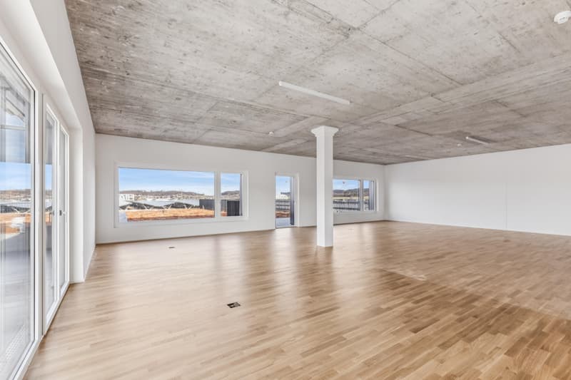 Attractive office space with private rooftop terrace (4)