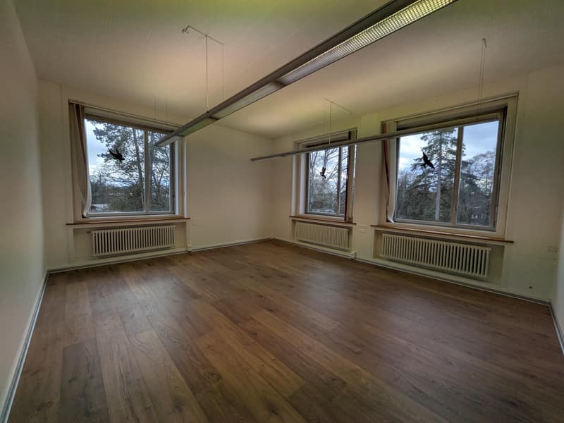 Office in Biberist (1)