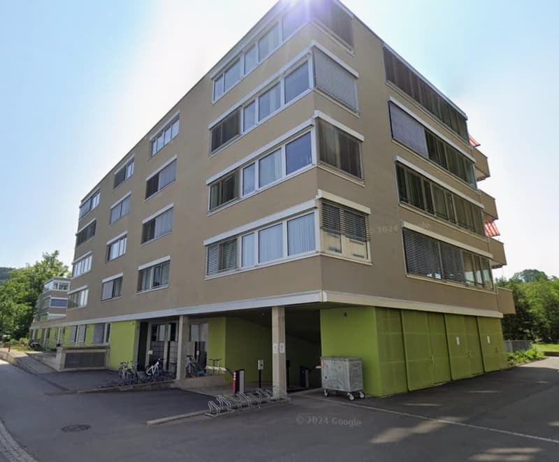 Parking à Windisch (1)