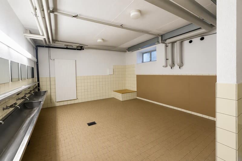 Magazzino o stanza per hobby a Dietikon (3)