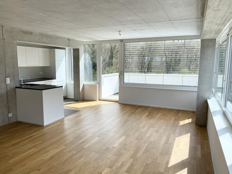 Votre nouveau rêve de maison dans le quartier de Kunz ! (4)