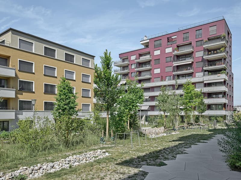 5.5-Zimmerwohnung im EG auf dem CHAMA-Areal (1)